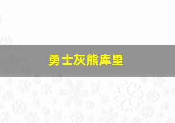 勇士灰熊库里