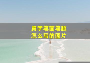 勇字笔画笔顺怎么写的图片