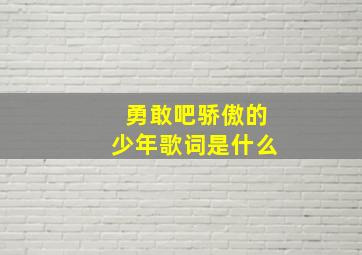 勇敢吧骄傲的少年歌词是什么