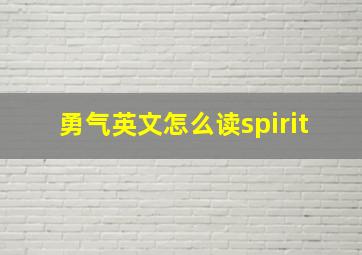 勇气英文怎么读spirit