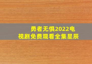 勇者无惧2022电视剧免费观看全集星辰