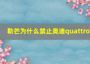 勒芒为什么禁止奥迪quattro