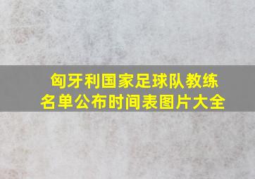 匈牙利国家足球队教练名单公布时间表图片大全