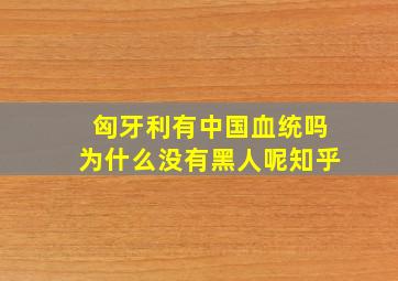 匈牙利有中国血统吗为什么没有黑人呢知乎