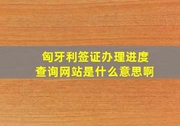 匈牙利签证办理进度查询网站是什么意思啊