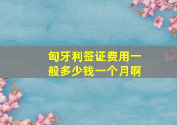 匈牙利签证费用一般多少钱一个月啊