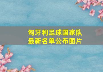 匈牙利足球国家队最新名单公布图片