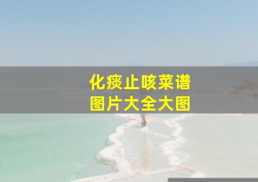 化痰止咳菜谱图片大全大图