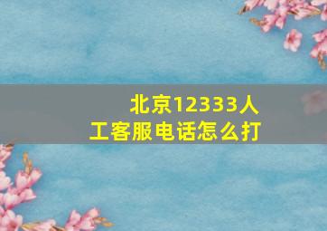 北京12333人工客服电话怎么打