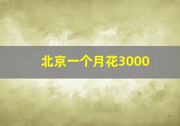 北京一个月花3000