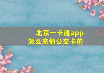 北京一卡通app怎么充值公交卡的