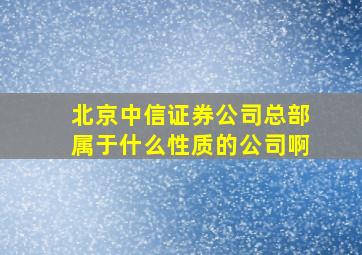 北京中信证券公司总部属于什么性质的公司啊