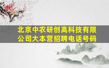 北京中农研创高科技有限公司大本营招聘电话号码