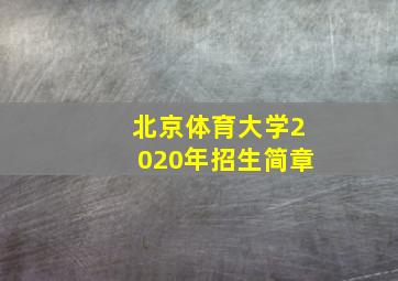 北京体育大学2020年招生简章