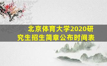 北京体育大学2020研究生招生简章公布时间表