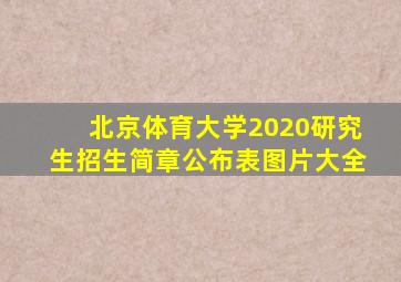 北京体育大学2020研究生招生简章公布表图片大全