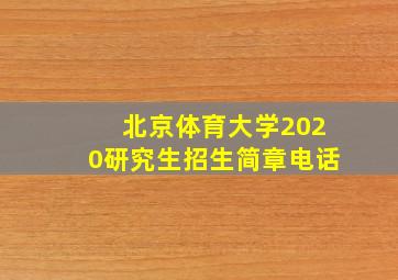 北京体育大学2020研究生招生简章电话