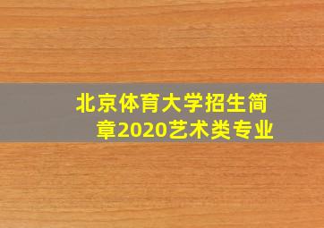 北京体育大学招生简章2020艺术类专业