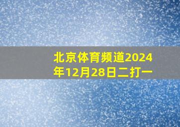 北京体育频道2024年12月28日二打一