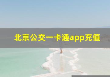 北京公交一卡通app充值