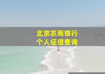 北京农商银行个人征信查询