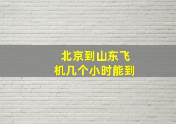 北京到山东飞机几个小时能到