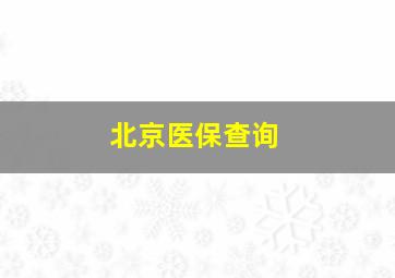 北京医保查询