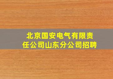 北京国安电气有限责任公司山东分公司招聘