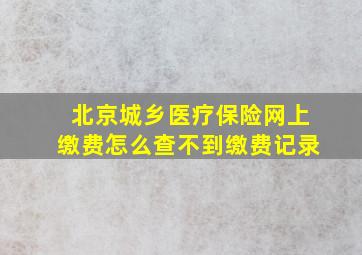 北京城乡医疗保险网上缴费怎么查不到缴费记录