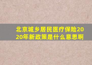 北京城乡居民医疗保险2020年新政策是什么意思啊