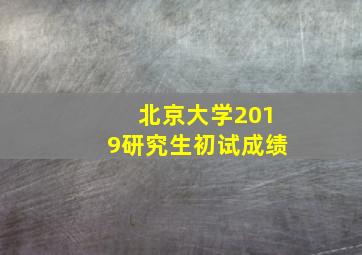 北京大学2019研究生初试成绩