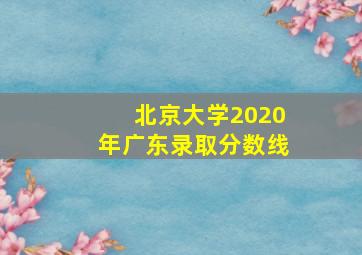 北京大学2020年广东录取分数线