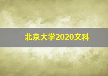 北京大学2020文科