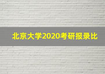 北京大学2020考研报录比