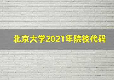 北京大学2021年院校代码