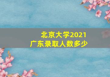 北京大学2021广东录取人数多少