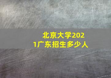 北京大学2021广东招生多少人