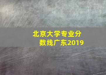 北京大学专业分数线广东2019