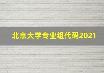 北京大学专业组代码2021