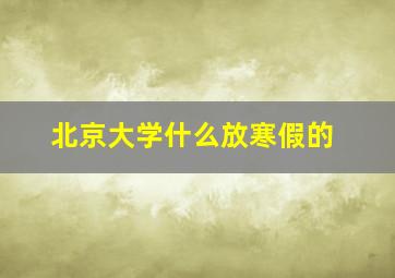 北京大学什么放寒假的