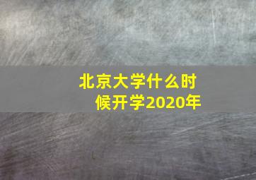 北京大学什么时候开学2020年