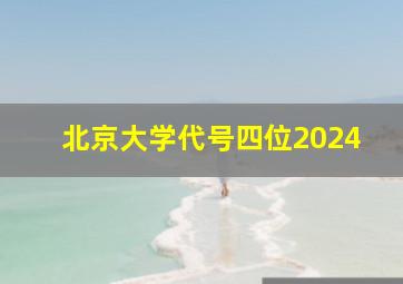 北京大学代号四位2024