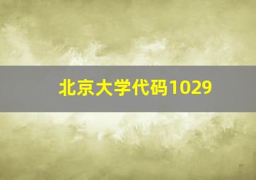 北京大学代码1029