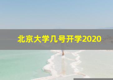 北京大学几号开学2020