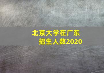 北京大学在广东招生人数2020