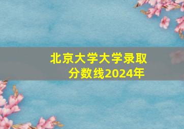 北京大学大学录取分数线2024年