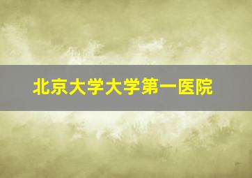 北京大学大学第一医院