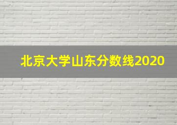 北京大学山东分数线2020