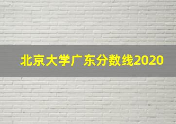 北京大学广东分数线2020