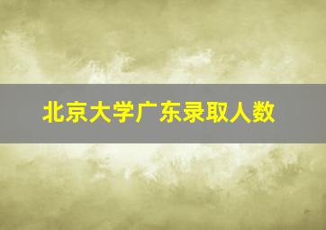 北京大学广东录取人数